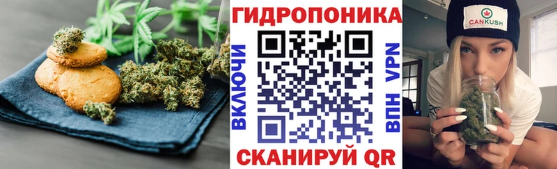 Canna-Cookies марихуана  купить   гидра онион  Дмитриев 