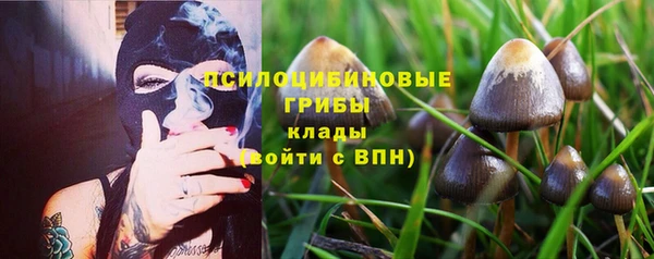 ГАЛЛЮЦИНОГЕННЫЕ ГРИБЫ Алексеевка