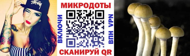 Псилоцибиновые грибы MAGIC MUSHROOMS  OMG ТОР  Дмитриев 